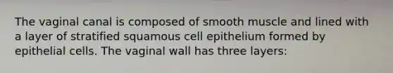 The vaginal canal is composed of smooth muscle and lined with a layer of stratified squamous cell epithelium formed by epithelial cells. The vaginal wall has three layers: