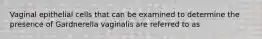 Vaginal epithelial cells that can be examined to determine the presence of Gardnerella vaginalis are referred to as