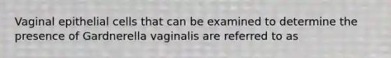 Vaginal epithelial cells that can be examined to determine the presence of Gardnerella vaginalis are referred to as