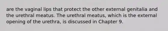 are the vaginal lips that protect the other external genitalia and the urethral meatus. The urethral meatus, which is the external opening of the urethra, is discussed in Chapter 9.