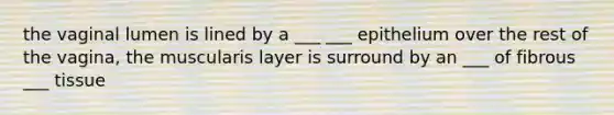 the vaginal lumen is lined by a ___ ___ epithelium over the rest of the vagina, the muscularis layer is surround by an ___ of fibrous ___ tissue