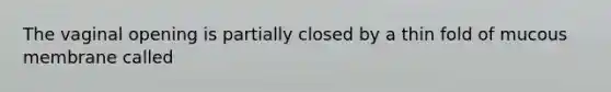 The vaginal opening is partially closed by a thin fold of mucous membrane called