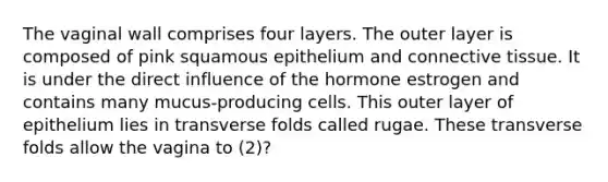 The vaginal wall comprises four layers. The outer layer is composed of pink squamous epithelium and connective tissue. It is under the direct influence of the hormone estrogen and contains many mucus-producing cells. This outer layer of epithelium lies in transverse folds called rugae. These transverse folds allow the vagina to (2)?