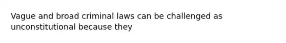 Vague and broad criminal laws can be challenged as unconstitutional because they​