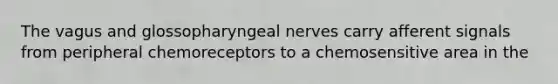 The vagus and glossopharyngeal nerves carry afferent signals from peripheral chemoreceptors to a chemosensitive area in the