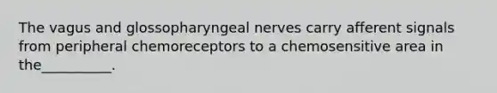 The vagus and glossopharyngeal nerves carry afferent signals from peripheral chemoreceptors to a chemosensitive area in the__________.