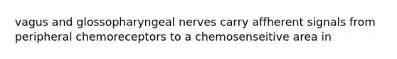 vagus and glossopharyngeal nerves carry affherent signals from peripheral chemoreceptors to a chemosenseitive area in