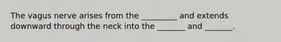 The vagus nerve arises from the _________ and extends downward through the neck into the _______ and _______.