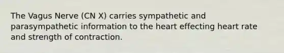 The Vagus Nerve (CN X) carries sympathetic and parasympathetic information to <a href='https://www.questionai.com/knowledge/kya8ocqc6o-the-heart' class='anchor-knowledge'>the heart</a> effecting heart rate and strength of contraction.