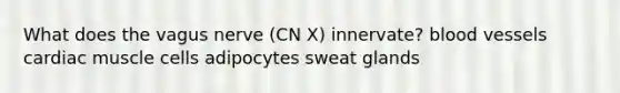 What does the vagus nerve (CN X) innervate? blood vessels cardiac muscle cells adipocytes sweat glands