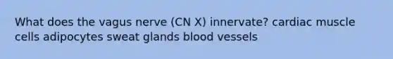 What does the vagus nerve (CN X) innervate? cardiac muscle cells adipocytes sweat glands <a href='https://www.questionai.com/knowledge/kZJ3mNKN7P-blood-vessels' class='anchor-knowledge'>blood vessels</a>