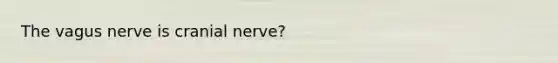 The vagus nerve is cranial nerve?