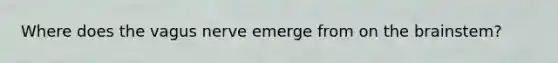 Where does the vagus nerve emerge from on the brainstem?