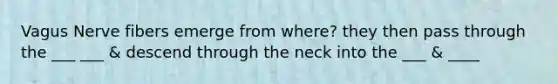 Vagus Nerve fibers emerge from where? they then pass through the ___ ___ & descend through the neck into the ___ & ____