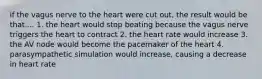 if the vagus nerve to the heart were cut out, the result would be that.... 1. the heart would stop beating because the vagus nerve triggers the heart to contract 2. the heart rate would increase 3. the AV node would become the pacemaker of the heart 4. parasympathetic simulation would increase, causing a decrease in heart rate