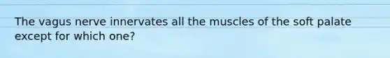 The vagus nerve innervates all the muscles of the soft palate except for which one?