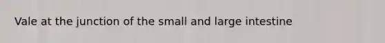 Vale at the junction of the small and large intestine