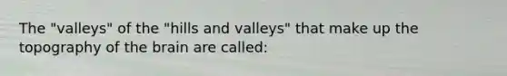 The "valleys" of the "hills and valleys" that make up the topography of the brain are called: