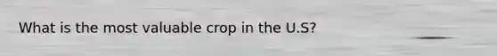 What is the most valuable crop in the U.S?