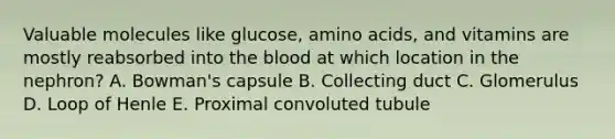 Valuable molecules like glucose, amino acids, and vitamins are mostly reabsorbed into the blood at which location in the nephron? A. Bowman's capsule B. Collecting duct C. Glomerulus D. Loop of Henle E. Proximal convoluted tubule