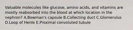 Valuable molecules like glucose, <a href='https://www.questionai.com/knowledge/k9gb720LCl-amino-acids' class='anchor-knowledge'>amino acids</a>, and vitamins are mostly reabsorbed into <a href='https://www.questionai.com/knowledge/k7oXMfj7lk-the-blood' class='anchor-knowledge'>the blood</a> at which location in the nephron? A.Bowman's capsule B.Collecting duct C.Glomerulus D.Loop of Henle E.Proximal convoluted tubule