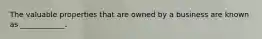 The valuable properties that are owned by a business are known as ____________.