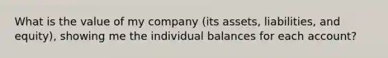 What is the value of my company (its assets, liabilities, and equity), showing me the individual balances for each account?