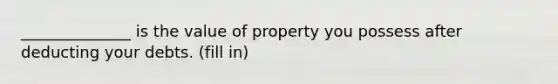 ______________ is the value of property you possess after deducting your debts. (fill in)