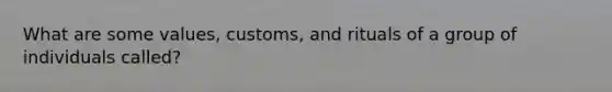 What are some values, customs, and rituals of a group of individuals called?