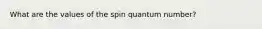 What are the values of the spin quantum number?