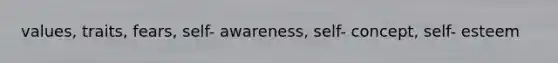 values, traits, fears, self- awareness, self- concept, self- esteem