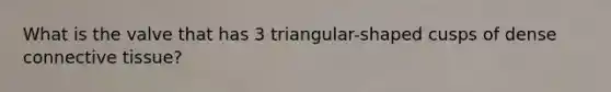 What is the valve that has 3 triangular-shaped cusps of dense connective tissue?