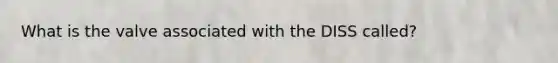 What is the valve associated with the DISS called?