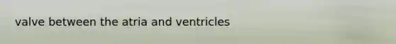 valve between the atria and ventricles