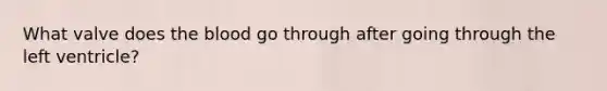 What valve does the blood go through after going through the left ventricle?