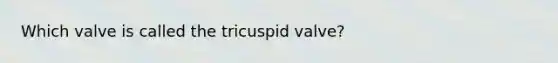 Which valve is called the tricuspid valve?