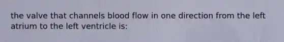 the valve that channels blood flow in one direction from the left atrium to the left ventricle is: