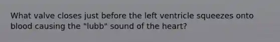 What valve closes just before the left ventricle squeezes onto blood causing the "lubb" sound of the heart?