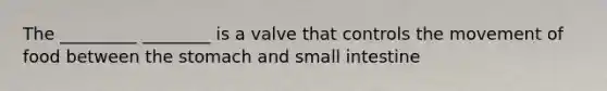 The _________ ________ is a valve that controls the movement of food between the stomach and small intestine