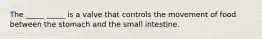 The _____ _____ is a valve that controls the movement of food between the stomach and the small intestine.