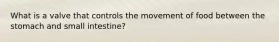 What is a valve that controls the movement of food between <a href='https://www.questionai.com/knowledge/kLccSGjkt8-the-stomach' class='anchor-knowledge'>the stomach</a> and small intestine?