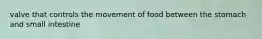 valve that controls the movement of food between the stomach and small intestine