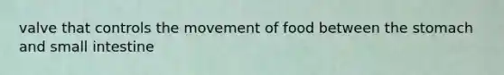valve that controls the movement of food between the stomach and small intestine