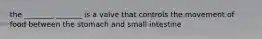 the ________ _______ is a valve that controls the movement of food between the stomach and small intestine