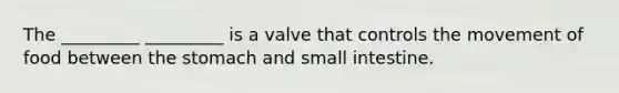 The _________ _________ is a valve that controls the movement of food between the stomach and small intestine.