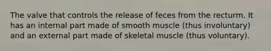 The valve that controls the release of feces from the recturm. It has an internal part made of smooth muscle (thus involuntary) and an external part made of skeletal muscle (thus voluntary).