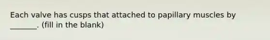 Each valve has cusps that attached to papillary muscles by _______. (fill in the blank)