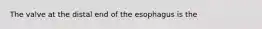 The valve at the distal end of the esophagus is the