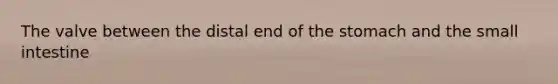 The valve between the distal end of <a href='https://www.questionai.com/knowledge/kLccSGjkt8-the-stomach' class='anchor-knowledge'>the stomach</a> and <a href='https://www.questionai.com/knowledge/kt623fh5xn-the-small-intestine' class='anchor-knowledge'>the small intestine</a>