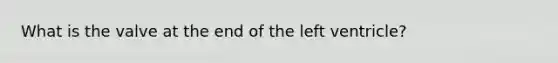 What is the valve at the end of the left ventricle?